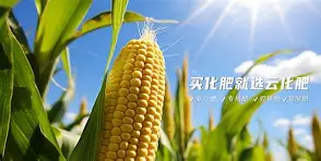 lol皮肤购买-?~滴zif1|惁麁n尯??&amp;?橺gy(は和が一起使用)